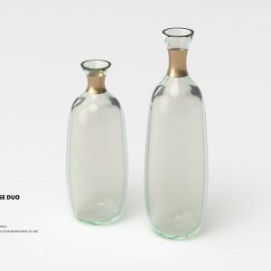 Clear Glass Vase Duo 3D Model
